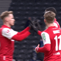1 Fc Cologne Football GIF by 1. FC Köln