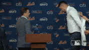 Ny Mets Sport GIF by New York Mets