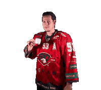 HCORLIZNOJMO 53 orli znojmo orliznojmo Sticker