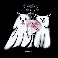 Cat Love GIF