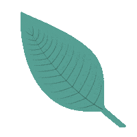 Andogifeando nature plantas hojas hagamosla Sticker