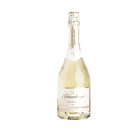 SchlumbergerSekt celebration cheers happy new year new year Sticker