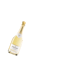 SchlumbergerSekt celebration cheers happy new year new year Sticker