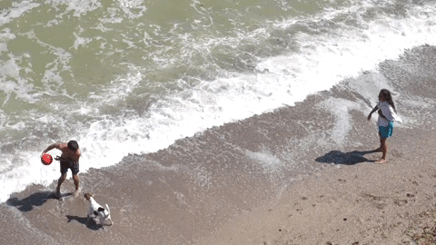 yaquelinrodriguez1234gmailco giphygifmaker GIF