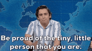 Snl GIF by Saturday Night Live