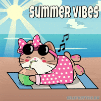 Spring Break Summer GIF by Silly Kitties