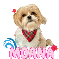 Hawai Dog Sticker
