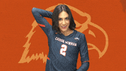 C-N Volleyball GIF by Carson-Newman Athletics