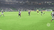 lucas lima GIF by SE Palmeiras