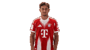 Fc Bayern Love Sticker by Bundesliga