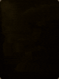 King Lion GIF