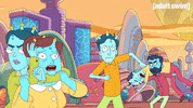 Season 2 Episode 3 GIF by Rick and Morty