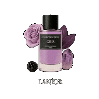 Parfum Gris Sticker by Lanior