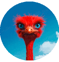 Apple Cooking Sticker by elbe-obst