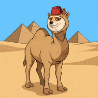 Shiba Inu Lol GIF by Doge Pound