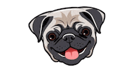 Animated Sticker