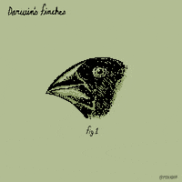 Animation Domination Fox GIF by gifnews