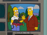 homer simpson GIF