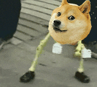 doge know GIF