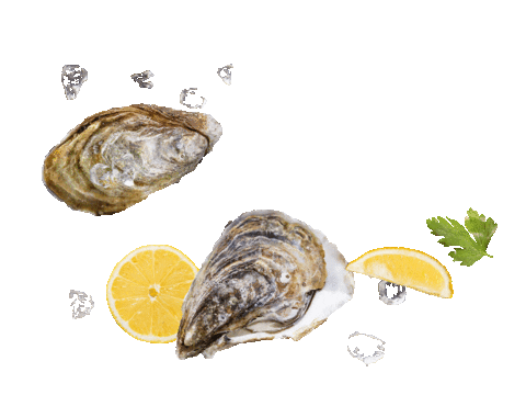 Oyster Auster Sticker by Mastai Comestibles