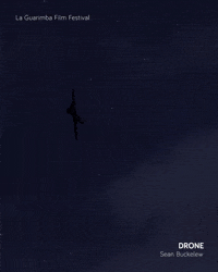 DRONE