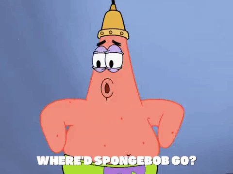 season 5 GIF by SpongeBob SquarePants