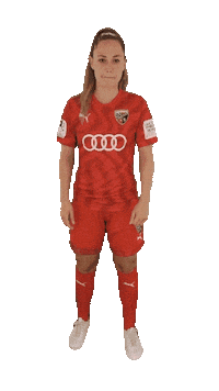 schanzerinnen frauenfussball nichtohnemeinemädels schanzerinnen 2 frauen bundesliga Sticker