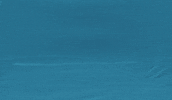 Water Walnut GIF by info-lux