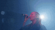 GIF by Kartel Musik