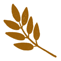 Fall Autumn Sticker by Daniela Nachtigall