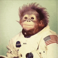 Interspacemonkey GIF