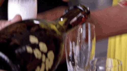 real housewives of atlanta champagne GIF