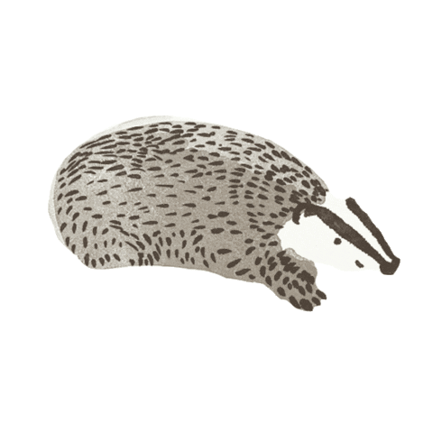 Porcupine Sticker by Little Planet