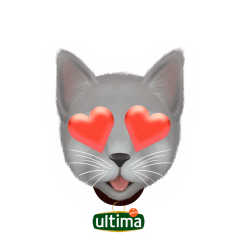 Ultimadeaffinity Sticker by Affinity