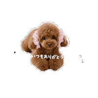 Sticker by kalina_wans_gogoh