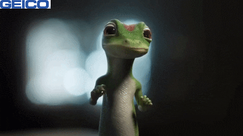 Gulp Shrug GIF by GEICO