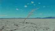 Ice Block GIF by Hardly Art