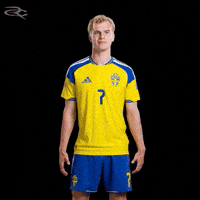 Fifa World Cup Uefa GIF by Respective