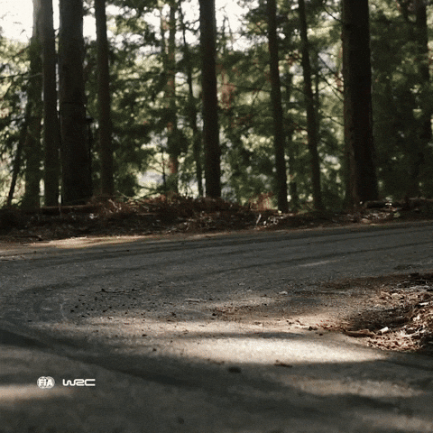Turning Toyota Yaris GIF by FIA World Rally Championship