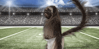 super bowl 2016 dancing GIF by Mountain Dew