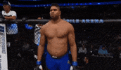 ufc 213 GIF