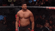 ufc 209 GIF