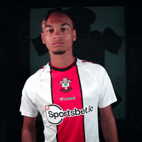 Premier League Football GIF by Southampton FC