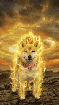 Dogegf Super Saiyan GIF by DogeGF