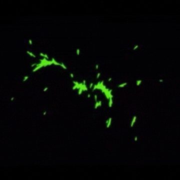 90s movie horror GIF by absurdnoise