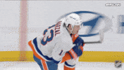 Happy National Hockey League GIF by NHL