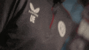 Unai Emery Football GIF by Aston Villa FC