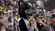Basketball Mke GIF by Milwaukee Panthers