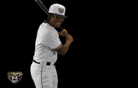 Oaklandbb GIF by grizzvids