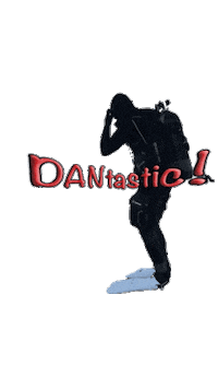 Safety Diving Sticker by DAN Europe